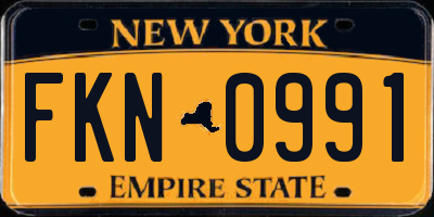 NY license plate FKN0991