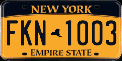 NY license plate FKN1003