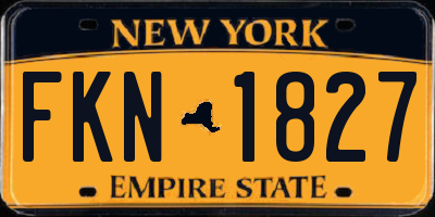 NY license plate FKN1827