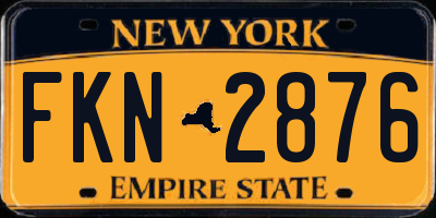 NY license plate FKN2876