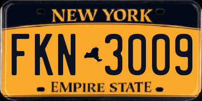 NY license plate FKN3009