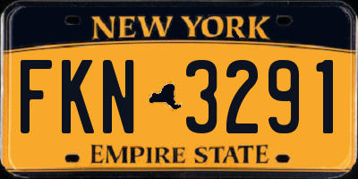 NY license plate FKN3291