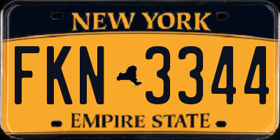 NY license plate FKN3344