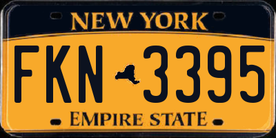 NY license plate FKN3395