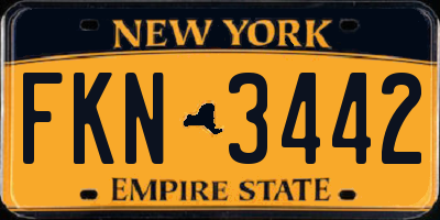 NY license plate FKN3442