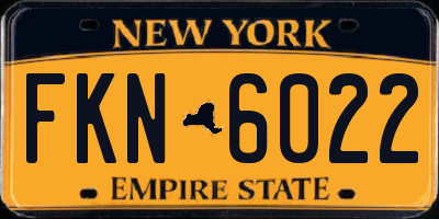 NY license plate FKN6022