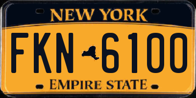 NY license plate FKN6100