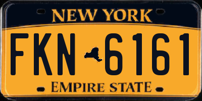 NY license plate FKN6161