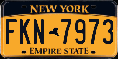 NY license plate FKN7973