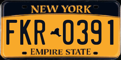 NY license plate FKR0391