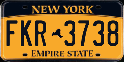 NY license plate FKR3738