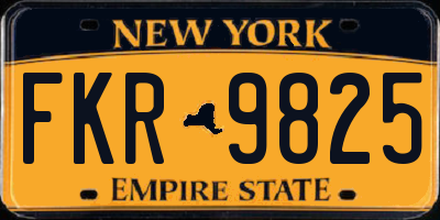 NY license plate FKR9825