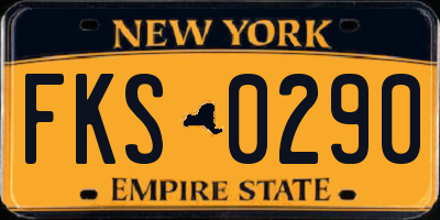 NY license plate FKS0290