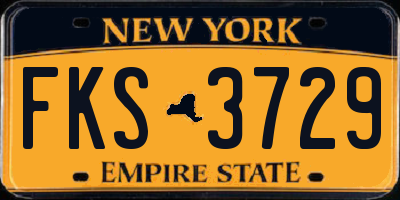 NY license plate FKS3729