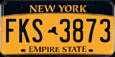 NY license plate FKS3873