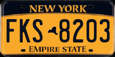 NY license plate FKS8203