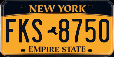 NY license plate FKS8750