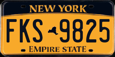 NY license plate FKS9825