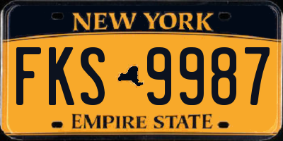 NY license plate FKS9987