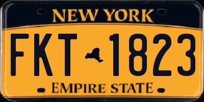 NY license plate FKT1823