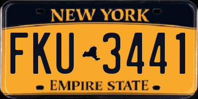 NY license plate FKU3441