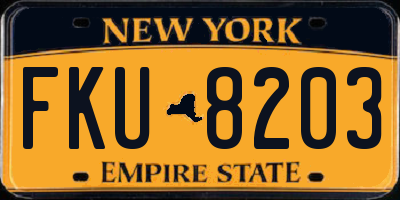 NY license plate FKU8203