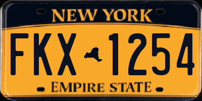 NY license plate FKX1254