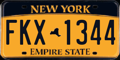 NY license plate FKX1344
