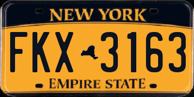 NY license plate FKX3163