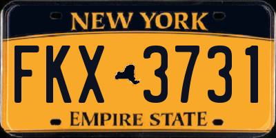 NY license plate FKX3731