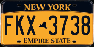 NY license plate FKX3738