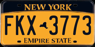 NY license plate FKX3773