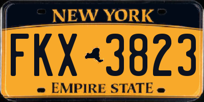 NY license plate FKX3823