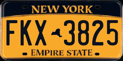NY license plate FKX3825
