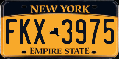 NY license plate FKX3975
