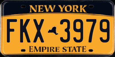 NY license plate FKX3979