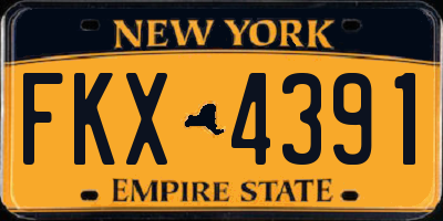 NY license plate FKX4391
