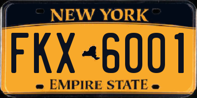 NY license plate FKX6001