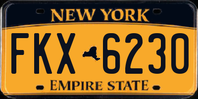 NY license plate FKX6230