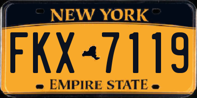 NY license plate FKX7119