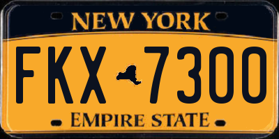 NY license plate FKX7300