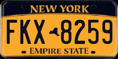 NY license plate FKX8259
