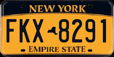 NY license plate FKX8291