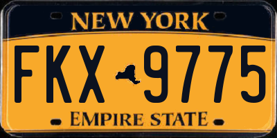 NY license plate FKX9775