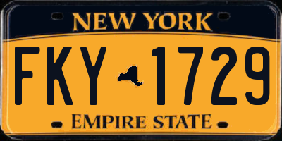 NY license plate FKY1729