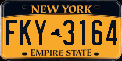 NY license plate FKY3164