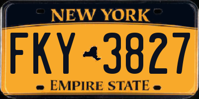 NY license plate FKY3827