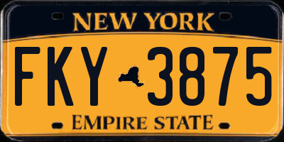 NY license plate FKY3875