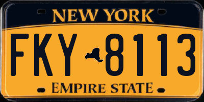 NY license plate FKY8113