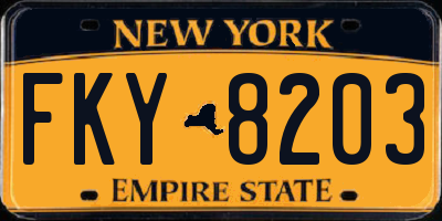 NY license plate FKY8203